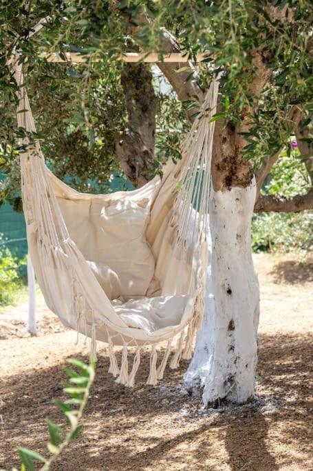 חאניה Olive Garden Villa Chania מראה חיצוני תמונה