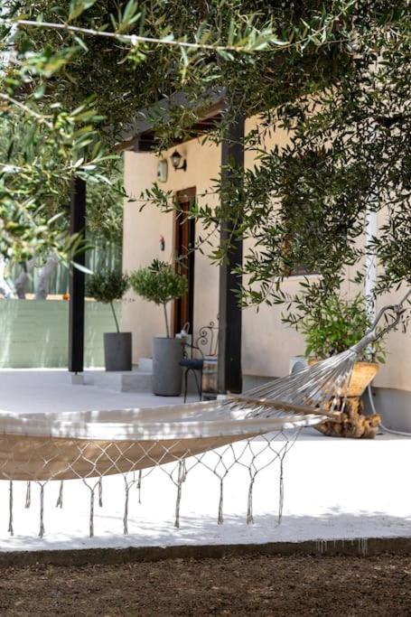 חאניה Olive Garden Villa Chania מראה חיצוני תמונה