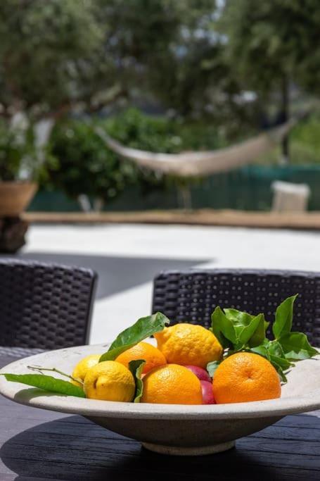 חאניה Olive Garden Villa Chania מראה חיצוני תמונה
